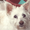 Photo de Lily