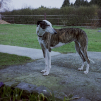 Photo de profil de Sherpa