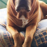 Photo de profil de Tyron