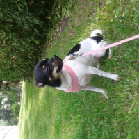 Photo de profil de louna