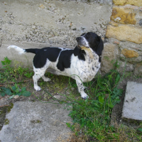 Photo de profil de FILOU