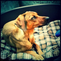 Photo de profil de Naya