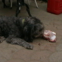 Photo de profil de BENJIE