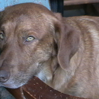 Photo de profil de TITO