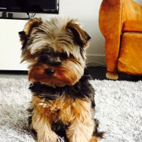 Photo de profil de Charlie