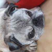 Photo de profil de Bounty