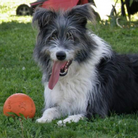 Photo de profil de Effie
