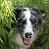 Photo de Filou