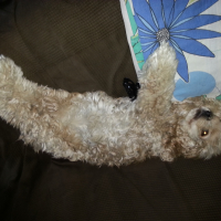 Photo de profil de Praline