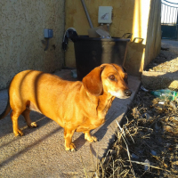 Photo de profil de Kinaï