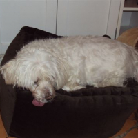 Photo de profil de Ulysse