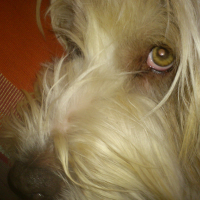 Photo de profil de Shiva 