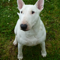 Photo de profil de emie