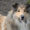 Photo de Lilou