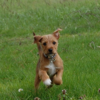 Photo de profil de Milo