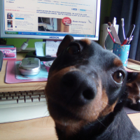Photo de profil de Kyra