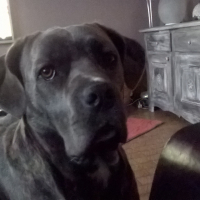 Photo de profil de jazzie