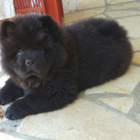 Photo de profil de Mina