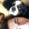 Photo de Diego, Cavalier King Charles Spaniel