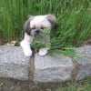 Photo de Fidji