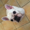 Photo de Lola
