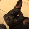 Photo de Louna