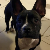 Photo de profil de Léon 