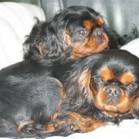 Photo de profil de Summer et Lover