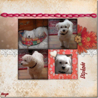 Photo de profil de Daphnée