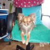 Photo de SUN