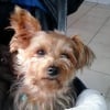 Photo de sweety