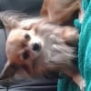 Photo de kimi