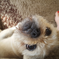 Photo de profil de Murphy 