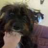 Photo de Séga