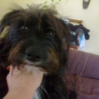 Photo de profil de Séga