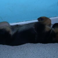 Photo de profil de mika