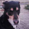 Photo de xena