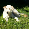 Photo de Melba 