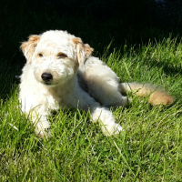 Photo de profil de Melba 