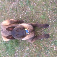 Photo de profil de gun