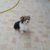 Photo de Bella