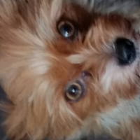 Photo de profil de Jessy