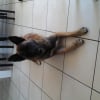 Photo de Aico