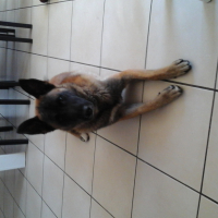 Photo de profil de Aico