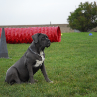 Photo de profil de Laya