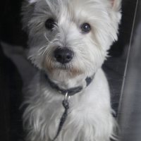 Photo de profil de GOUTY
