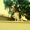Photo de Luna