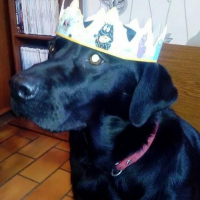 Photo de profil de Ilka