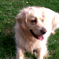Photo de profil de chrystal