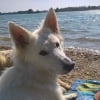 Photo de juna